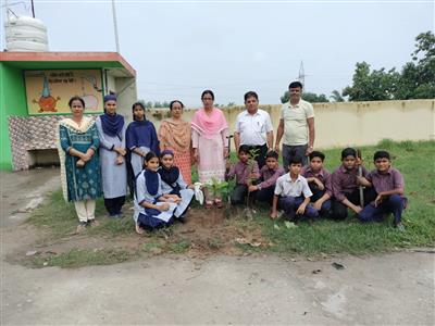 Events & Activities
