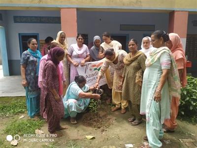 Events & Activities