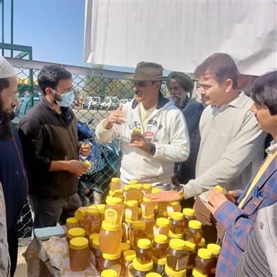 Events & Activities