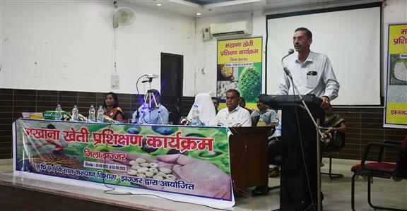 Events & Activities