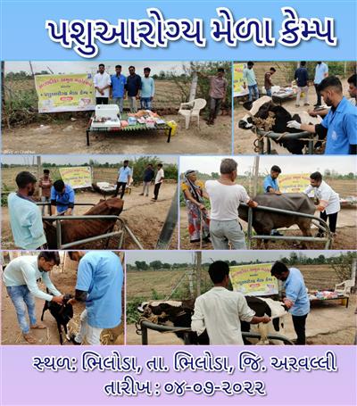 Events & Activities