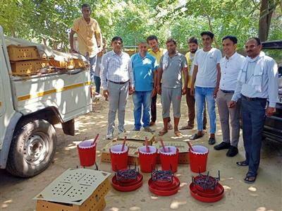 Events & Activities
