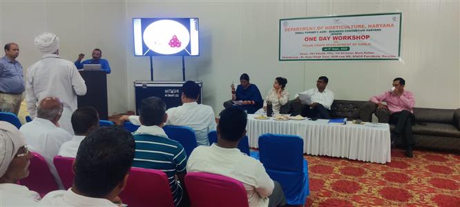 Events & Activities