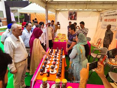 Events & Activities