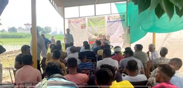 Events & Activities