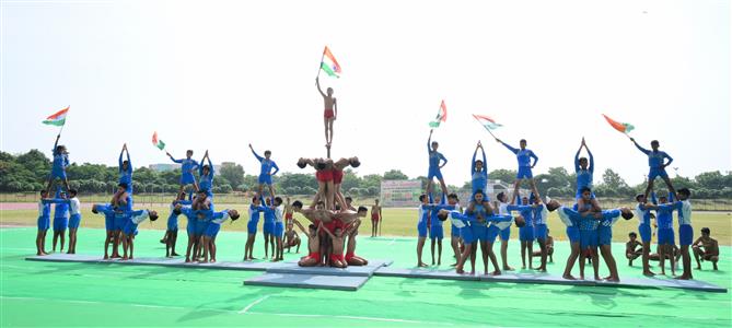 Events & Activities