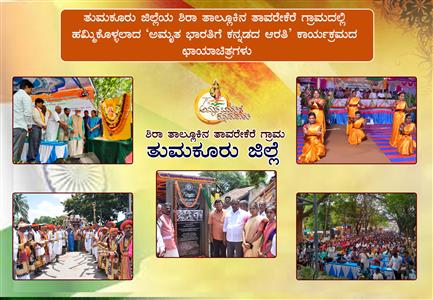 Events & Activities