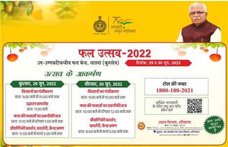 Events & Activities