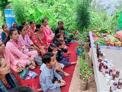 Events & Activities