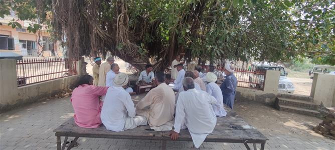 Events & Activities