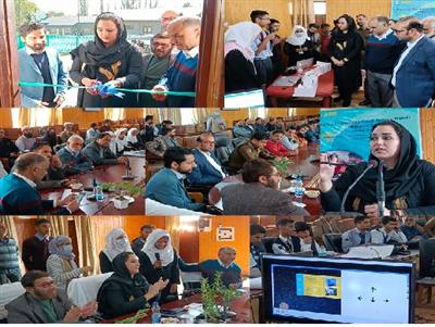 Events & Activities