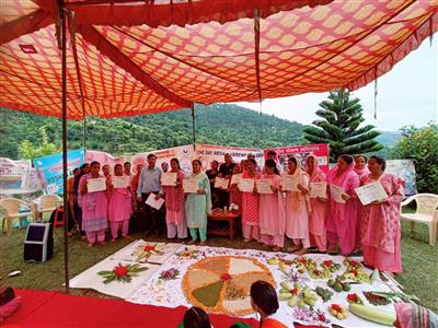 Events & Activities