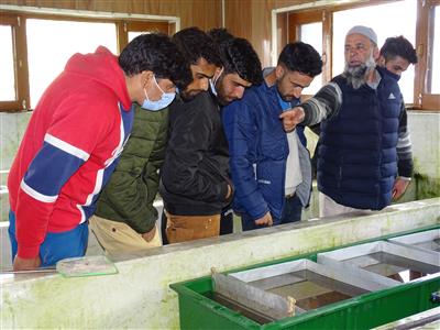 Events & Activities