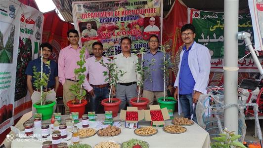 Events & Activities