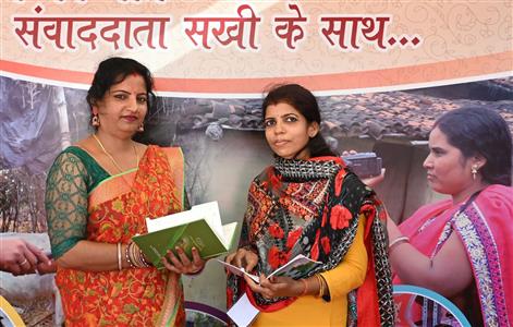 Events & Activities