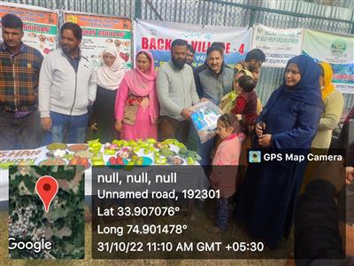 Events & Activities