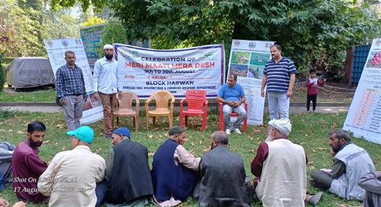 Events & Activities