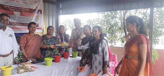 Events & Activities
