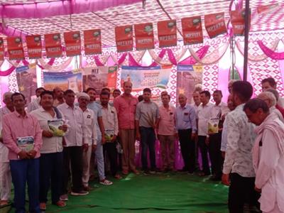 Events & Activities