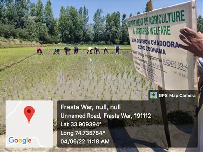 Events & Activities