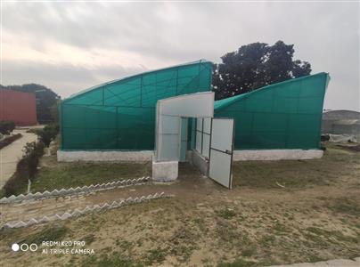 Events & Activities