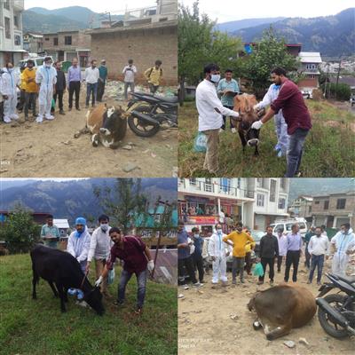 Events & Activities