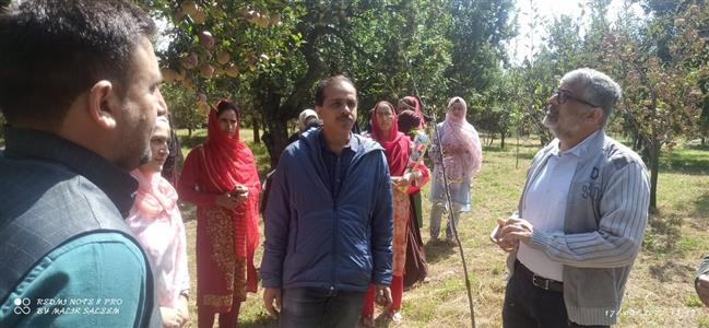 Events & Activities