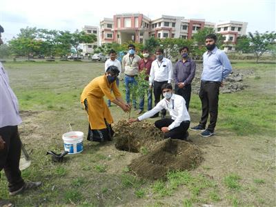 Events & Activities