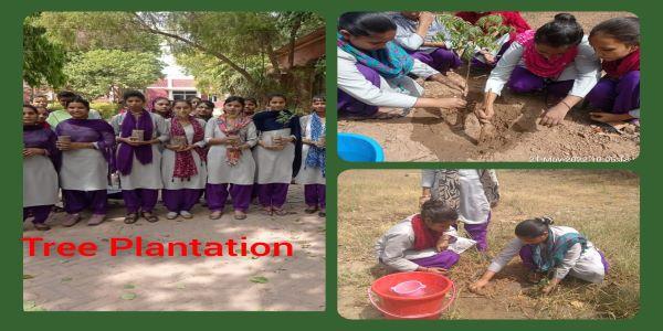 Events & Activities
