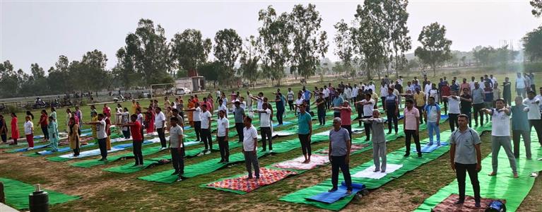 Events & Activities