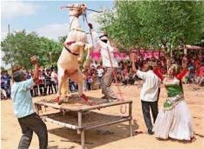 Events & Activities