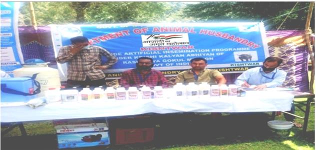 Events & Activities