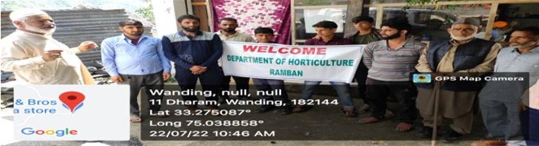 Events & Activities