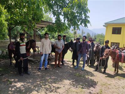 Events & Activities