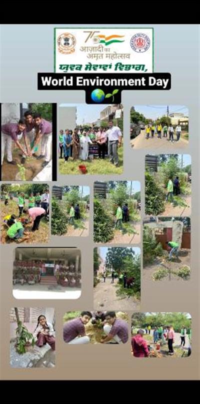 Events & Activities