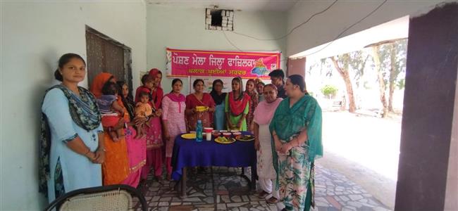 Events & Activities