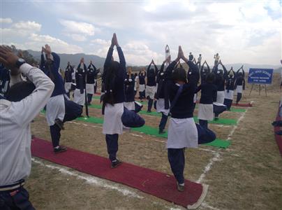 Events & Activities