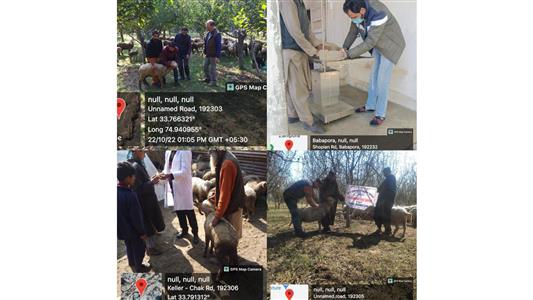 Events & Activities