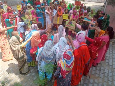 Events & Activities