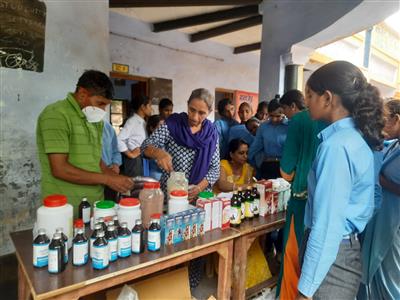 Events & Activities