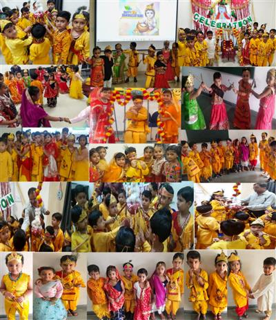 Events & Activities