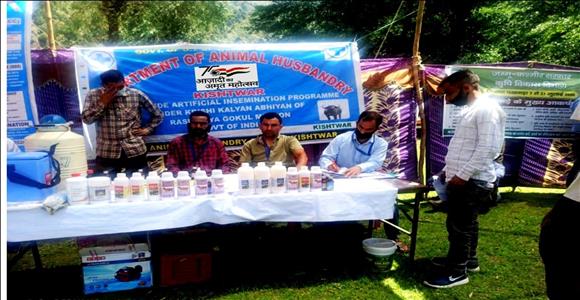 Events & Activities