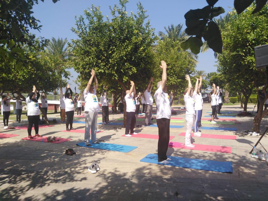 Events & Activities