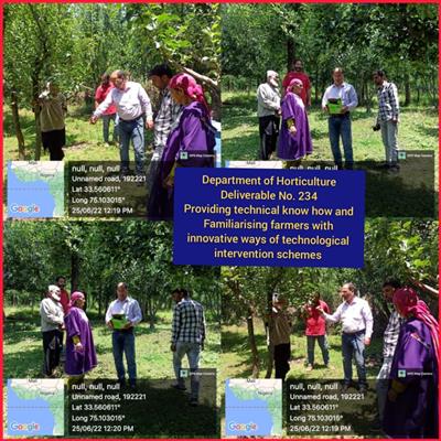Events & Activities