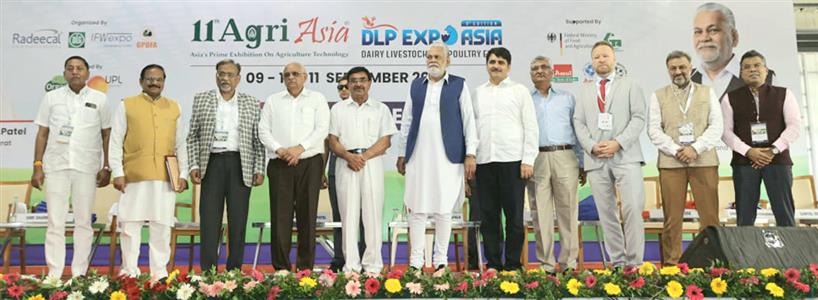 Events & Activities