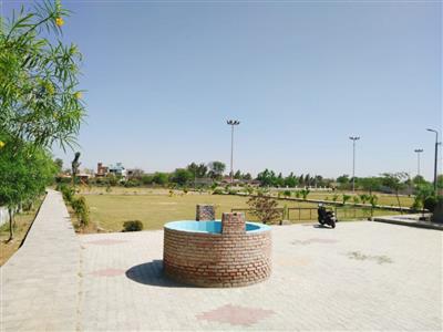 Events & Activities