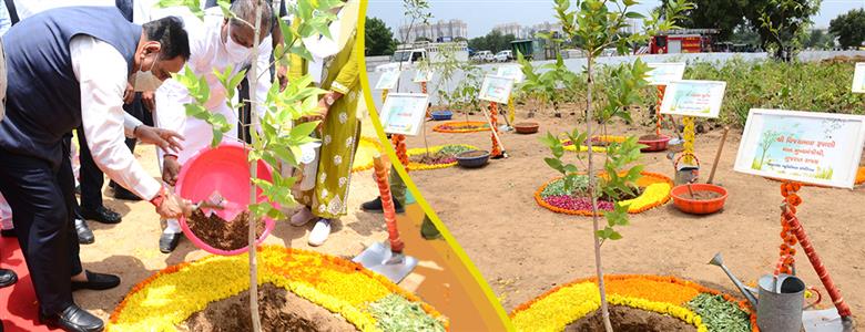 Events & Activities