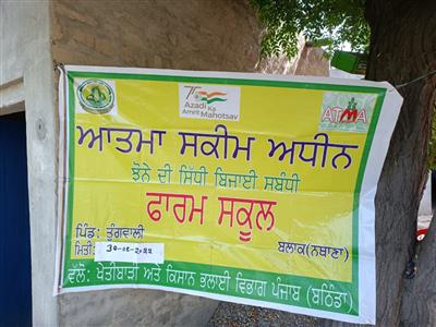 Events & Activities