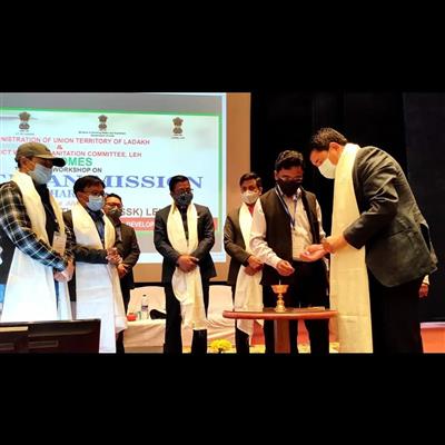 Events & Activities