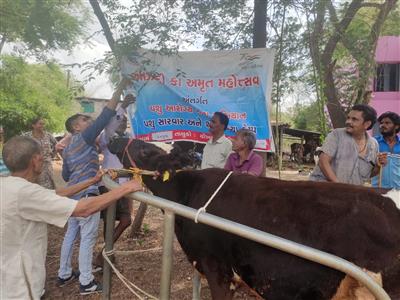 Events & Activities